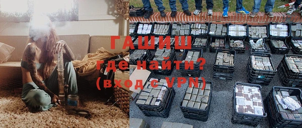 стафф Касимов
