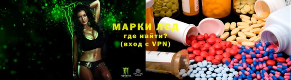 стафф Касимов