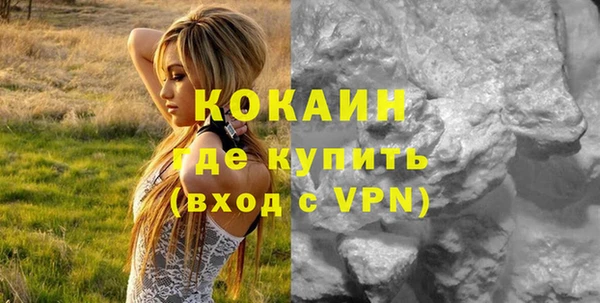 стафф Касимов