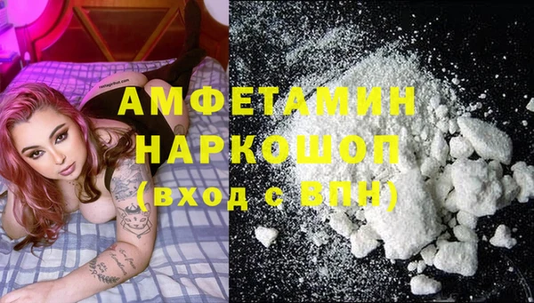 стафф Касимов