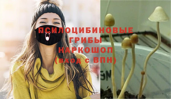стафф Касимов