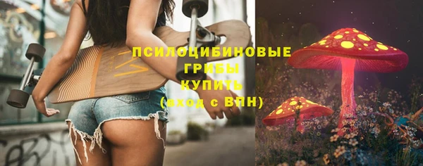 стафф Касимов
