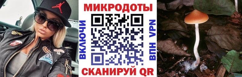 Купить  Кувандык  Галлюциногенные грибы Magic Shrooms 
